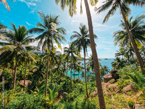 Beaches and coconut palms on a tropical island