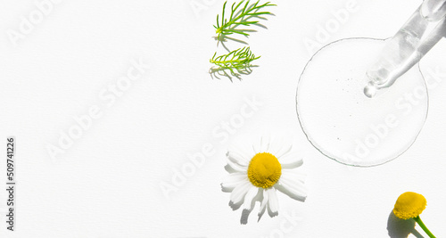 Transparent cosmetic liquid for body care on a white background with chamomile flowers, banner with copy space.