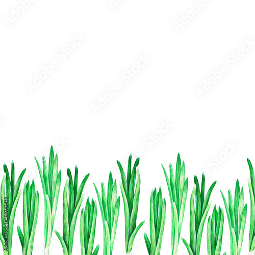 Green onions banner. Watercolor illustration. Isolated on a white background. For your design.