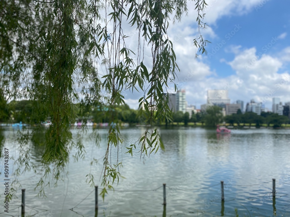 Obraz premium The park of Ueno with sky trees and japanese traditional temples in the view, landscape shot year 2022 June 9th