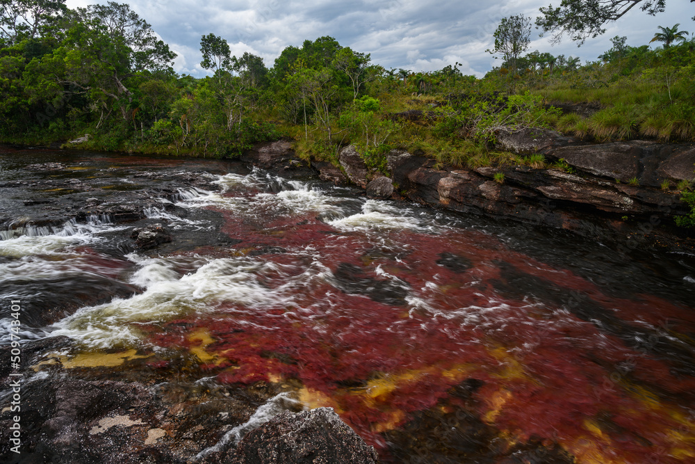 The rainbow river or five colors river is in Colombia one of the most