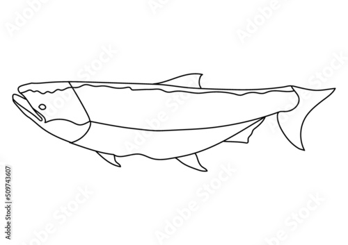 Canvas Print Isolated fish line icon. Hand drawn vector illustration.