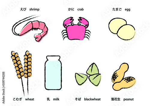 アレルギー品目　特定原材料　食物アレルギー