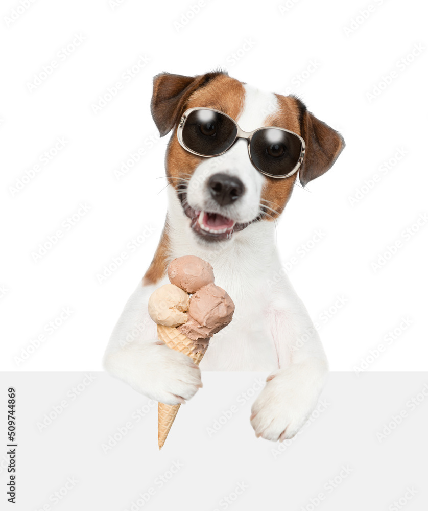 Jack russell terrier puppy wearing sunglasses holds ice cream above empty board. isolated on white background