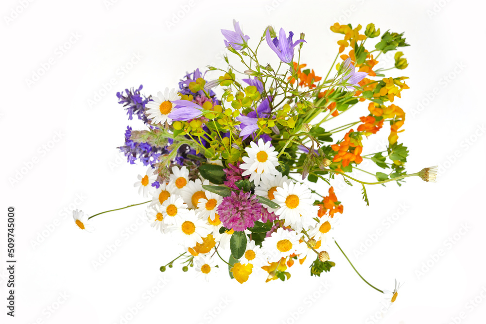 Beautiful bouquet of wildflowers isolated on white. - obrazy, fototapety, plakaty 