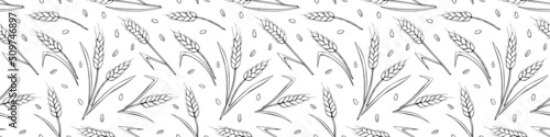 Wheat spikelets and grains, vector seamless pattern. Outline drawn in sketch style isolated. Design of print, wrapping paper, packaging on theme of bakery products, flour, harvest, thanksgiving.