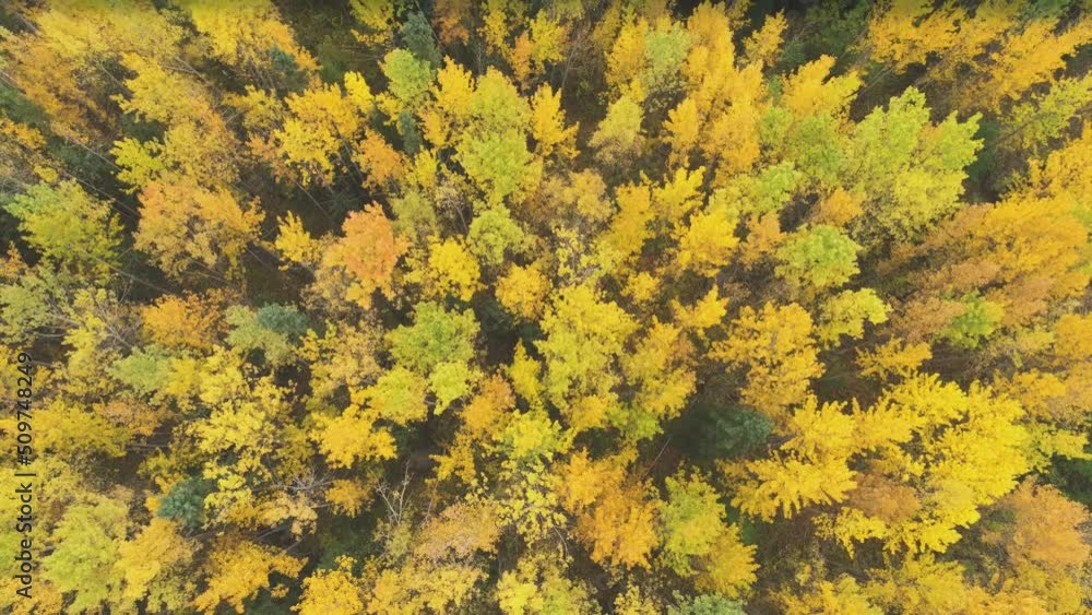 Aerial view over a landscape in autumn colors with trees and mountains; slow upward pan Aerial view over a landscape in autumn colors with trees and mountains; slow upward pan