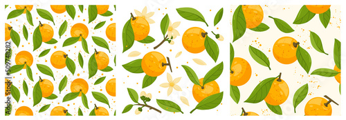 Collection and seamless patterns of orange tree branches with fruits, leaves and flowers isolated on white background. Fresh citrus. Exotical tropical plant. Flat vector illustration.