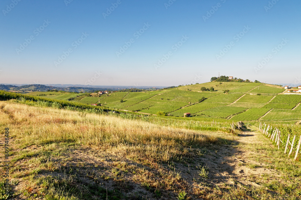 Panoramic summer view on the hills of Monferrato, historical wine region of Piedmont, Italy