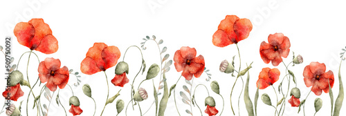 Watercolor red poppy flowers border hand drawn illustration
