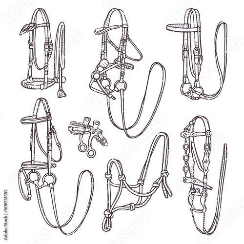 Different types of horse bridles. Collection equestrian ammunition for backgrounds, wallpapers, textile, postcards, t-shirt prints. Set elements for horses. Vector hand drawn style illustration.