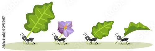 Cute ants carrying a green leaves and purple flower