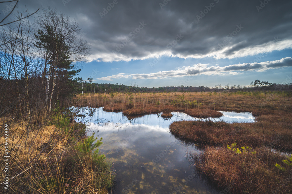 Fototapeta premium Celle, 09.06.2022