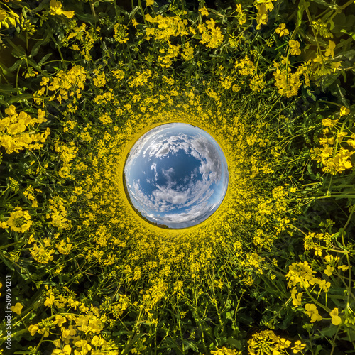 blue sphere little planet inside yellow flowers rapeseed round frame background