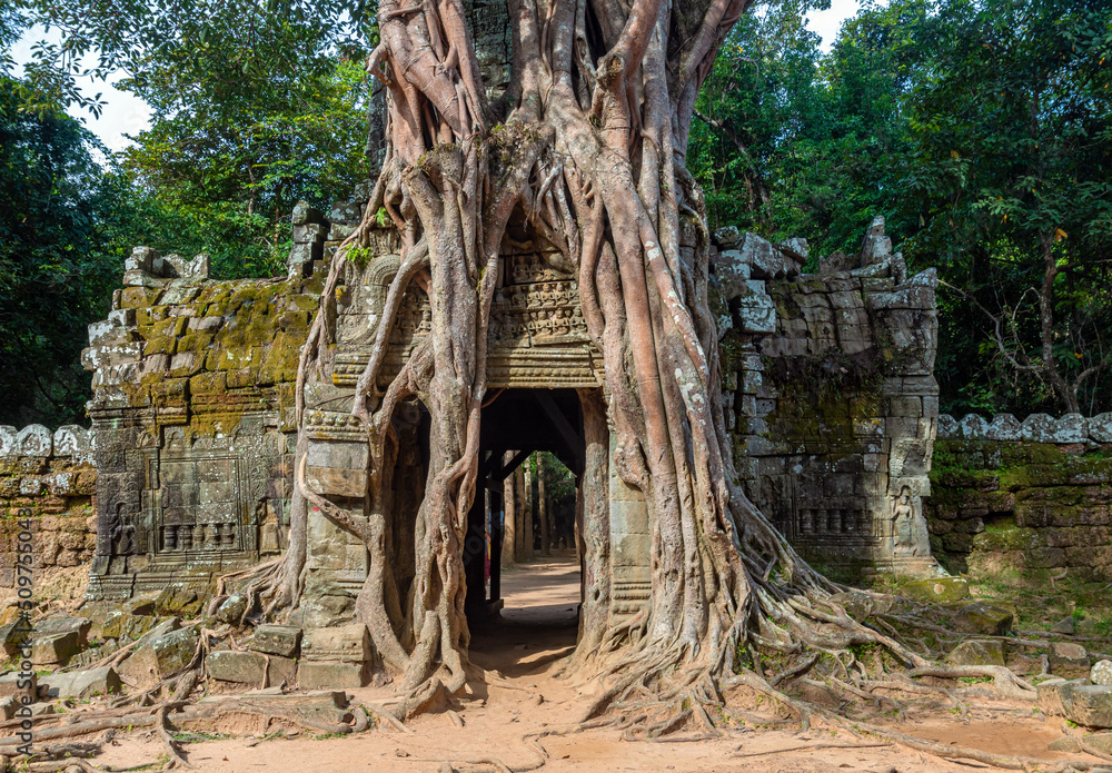 Naklejka premium A tree roots hugging the Khmer building, Ta Som (Prasat Ta Saom), part of Khmer Angkor temple complex, Cambodia.