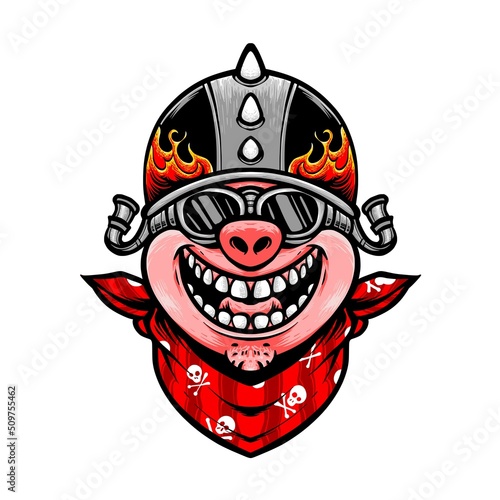 biker pig character cartoon vector