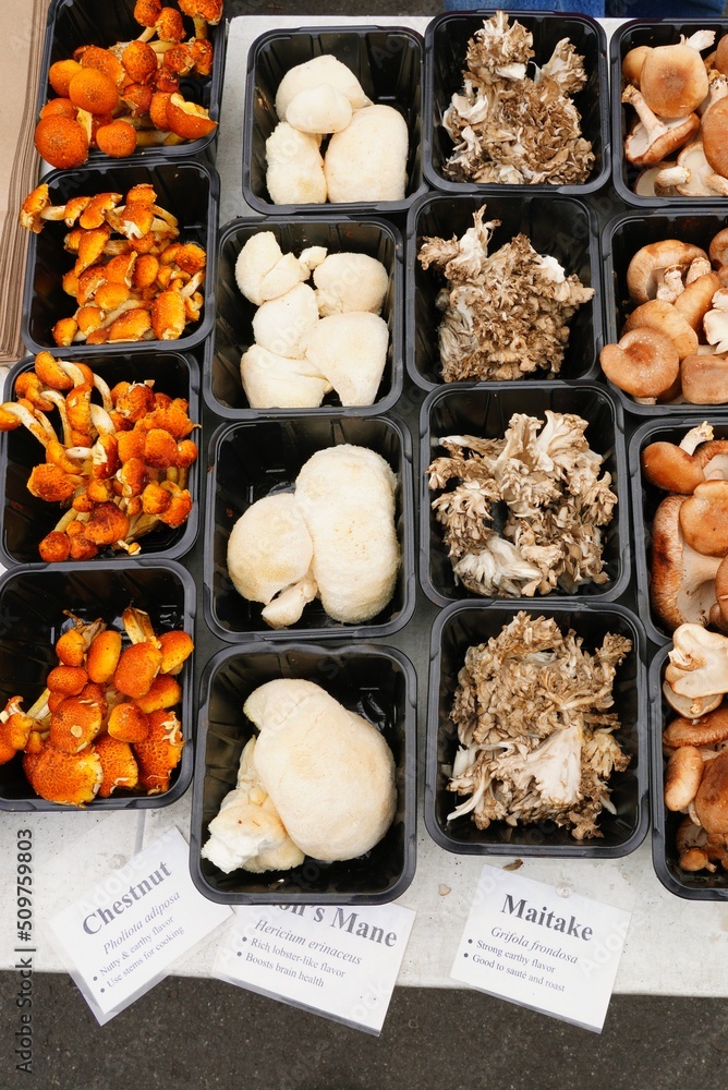 Containers of mixed gourmet mushrooms at a farmers market