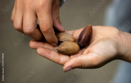 \a handful of nuts