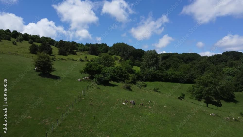 Aezkoa Valley, meadows and forests. Navarrese Pyrenees Aezkoa Valley, meadows and forests. Navarrese Pyrenees