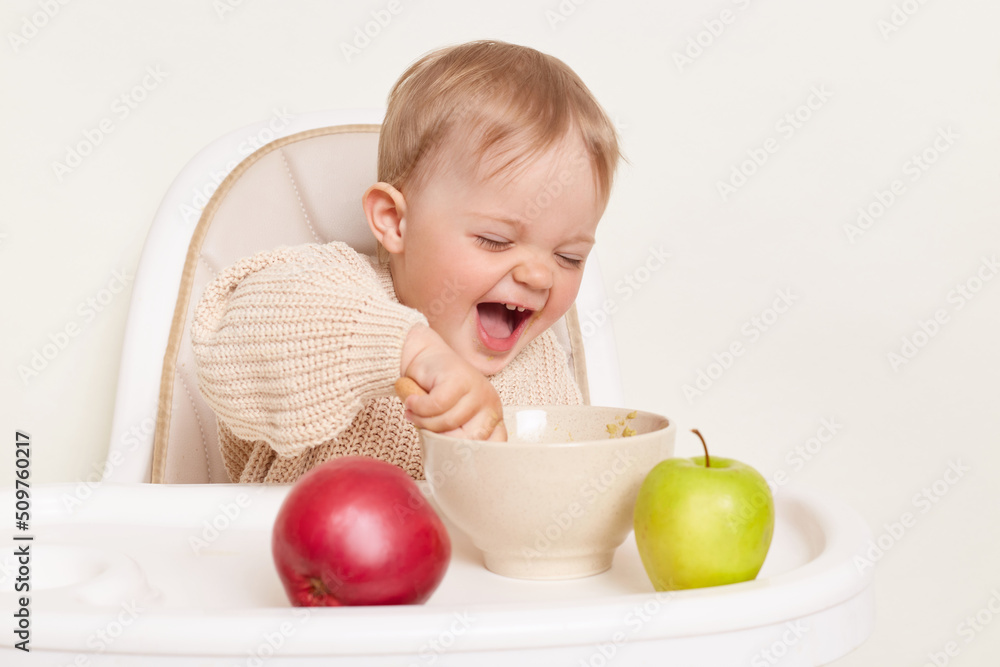 Portrait of excited cute little female baby kid wearing beige sweater sitting in high chair and eating porridge from plate with happy facial expression, isolated over white background. Portrait of excited cute little female baby kid wearing beige sweater sitting in high chair and eating porridge from plate with happy facial expression, isolated over white background.