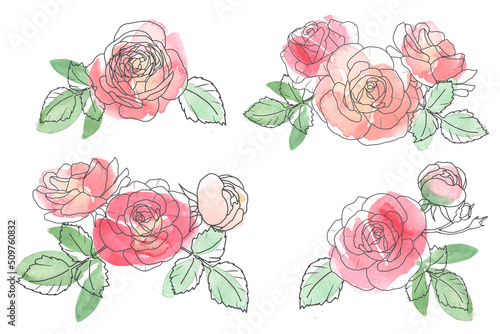watercolor loose line art rose flower bouquet collection