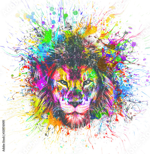 close up of a lot of colorful lion