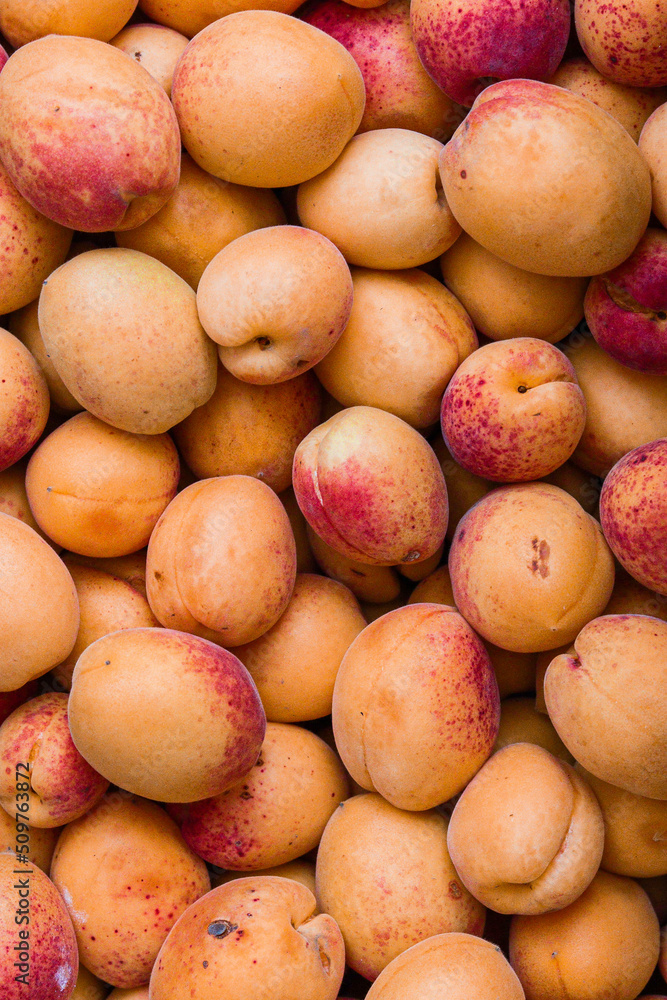 Apricot Apricot