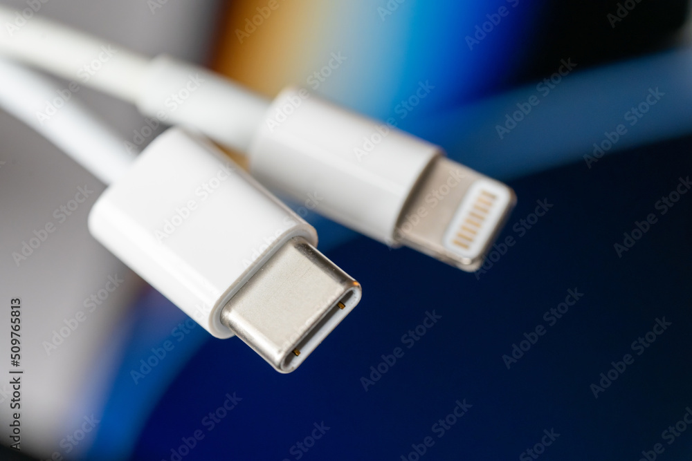 Fototapeta premium USB-C and Lightning cable lead Close Up Shot