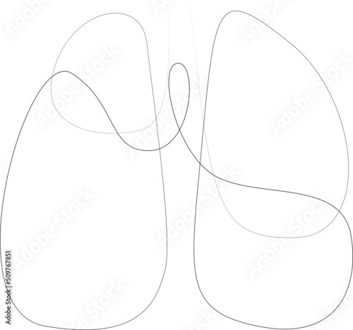 lungs