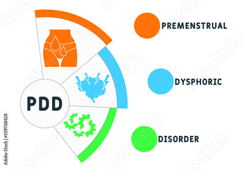 PDD - Premenstrual Dysphoric Disorder acronym. business concept background. vector illustration concept with keywords and icons. lettering illustration with icons for web banner, flyer, landing pag photo