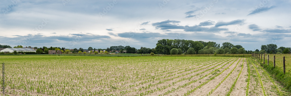 View over the Flemish countryside and agriculture fields around Lebbeke