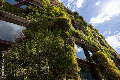 Obraz na plátne Green facade ecological eco plants on the building