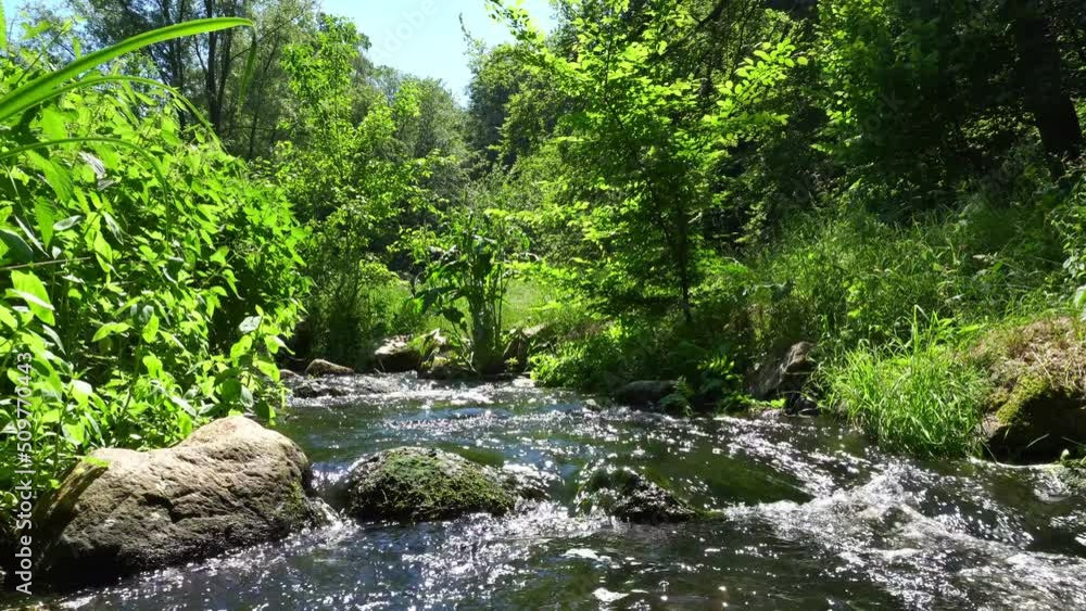 Bergbach im Sommer - Bachlauf mit Steine und klarem Wasser Bergbach im Sommer - Bachlauf mit Steine und klarem Wasser