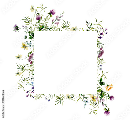 A frame of watercolour wildflowers. Watercolour illustration of meadow flowers for card, invitation, scrapbooking.