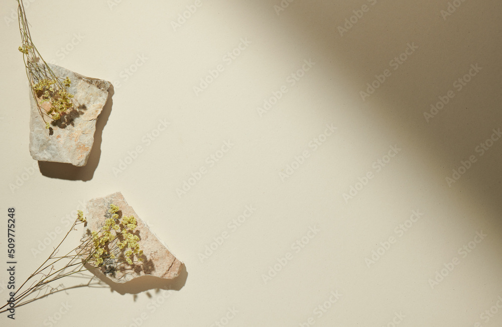 Flatlay minimal natural beige background with empty space. Template for branding and product presentation. Still life photo, table with rocks and dry plants