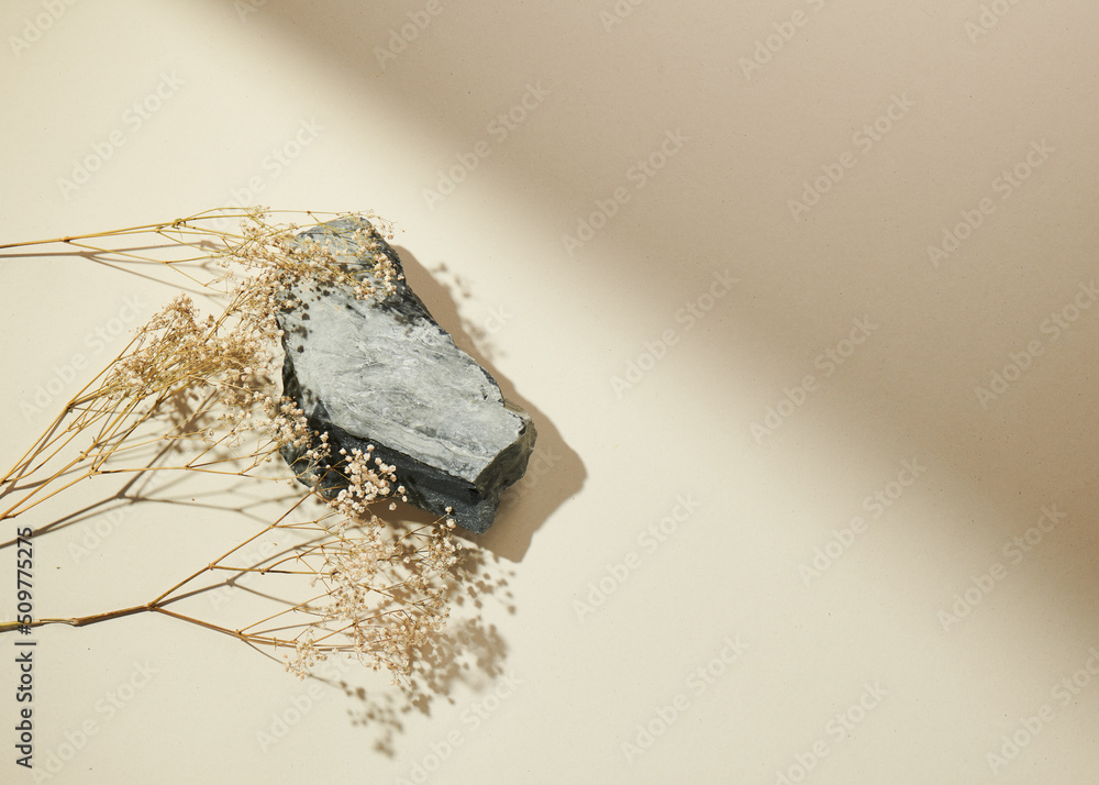 Flatlay minimal natural beige background with empty space. Template for branding and product presentation. Still life photo, table with rocks and dry plants Flatlay minimal natural beige background with empty space. Template for branding and product presentation. Still life photo, table with rocks and dry plants