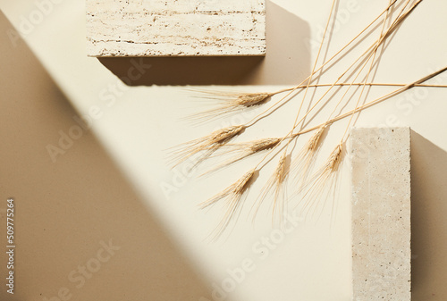Flatlay minimal natural beige background with empty space. Template for branding and product presentation. Still life photo, table with travertino stone and dry grain