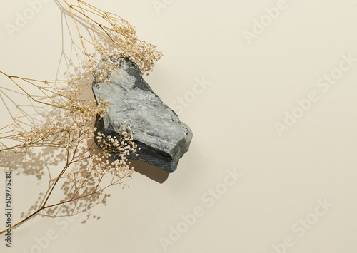 Flatlay minimal natural beige background with empty space. Template for branding and product presentation. Still life photo, table with rocks and dry plants
