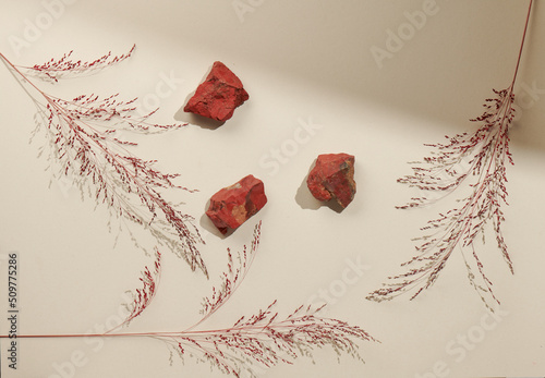Flatlay minimal natural beige background with empty space. Template for branding and product presentation. Still life photo, table with red rocks and dry plants