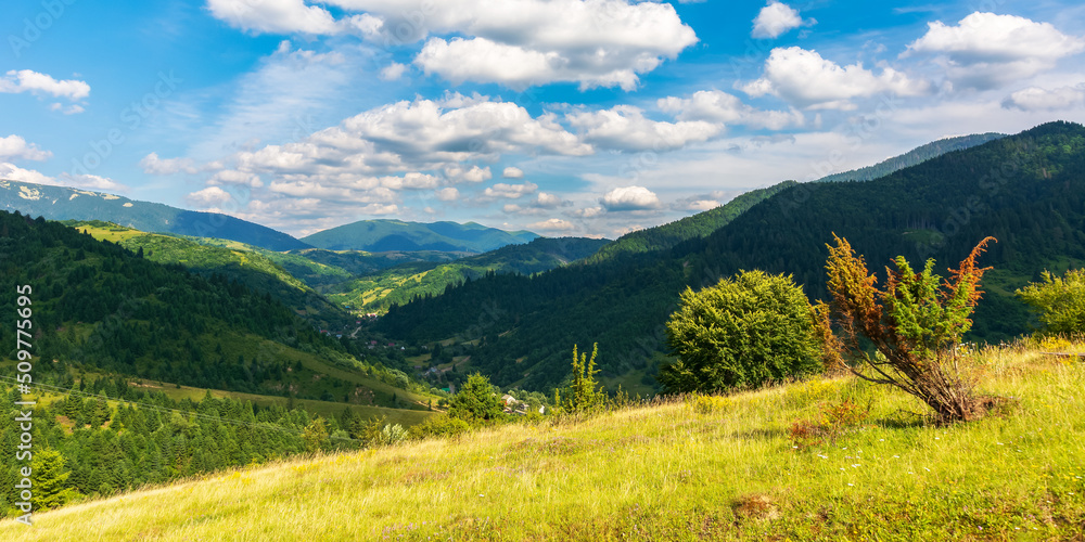 mountainous countryside landscape in summer. forested hill and grassy meadows on a warm sunny day. village in the distant valley beneath a sky with fluffy clouds. transcarpathian rural area