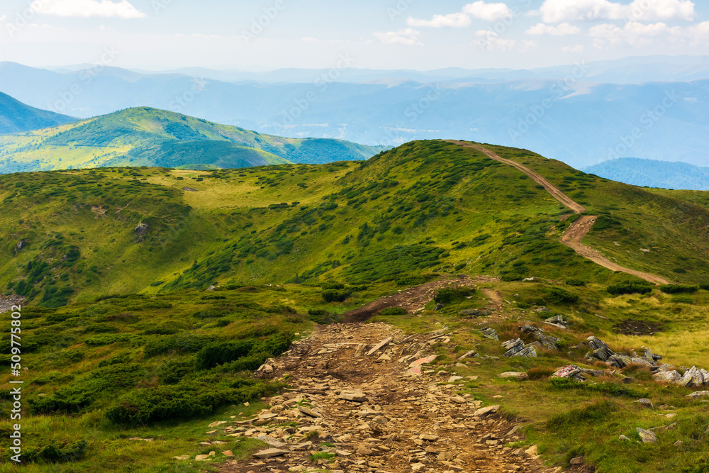 path through ridge of carpathian national park. mountain landscape of ukraine, europe in summer. beautiful outdoor scenery. domestic tourism and hiking concept. grassy hills and meadows on a sunny day