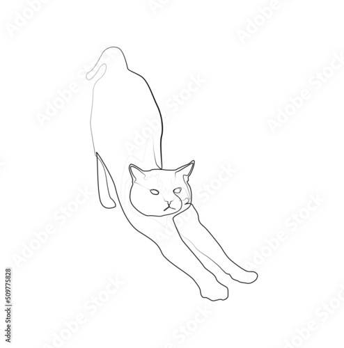 Wallpaper Mural the cat is stretching in abstract hand drawn style, minimalist one line drawing Torontodigital.ca