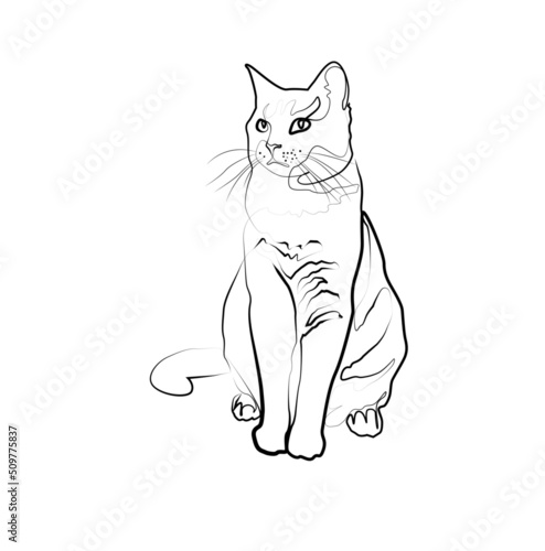 Wallpaper Mural The cat sits and looks away in abstract hand drawn style, minimalist one line drawing Torontodigital.ca