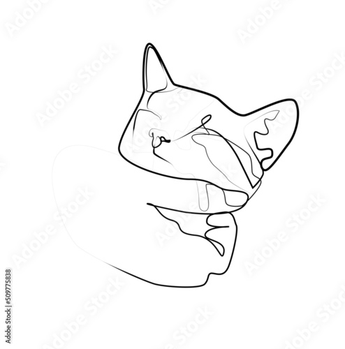 Wallpaper Mural female hand scratching the chin of a kitten. Minimalist cat in abstract hand drawn style, minimalist one line drawing Torontodigital.ca