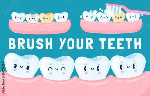 Teeth in the gum. Cartoon cute happy teeth characters for children dental poster, happy clean white tooth with friends. Vector illustration