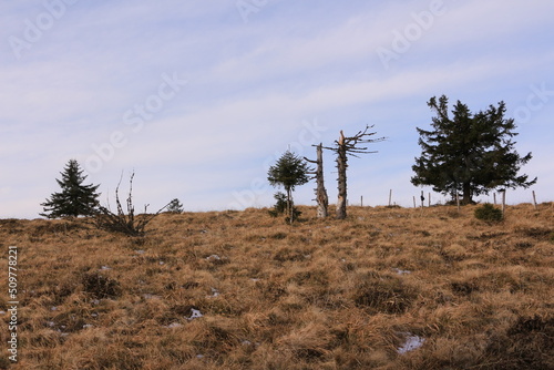 Blick vom Berg Belchen auf die Wolken behangenen Täler des Schwarzwalds	 photo