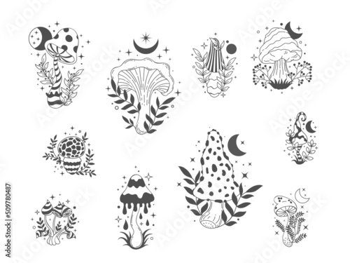 Boho mushrooms. Mystic forest toadstool and amanita, floral and celestial esoteric decorative elements. Vector fungi magic set