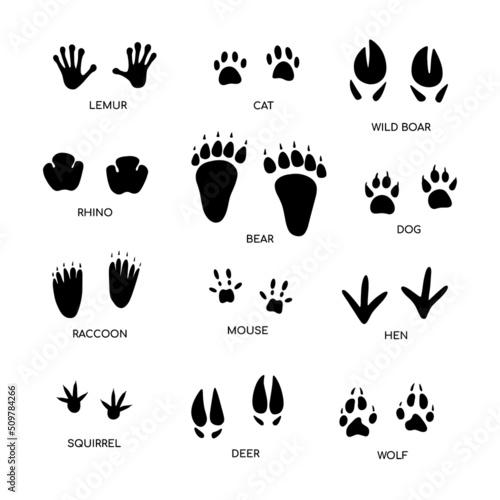 Animal footprint guide collection. Hand drawn vector illustration on white background