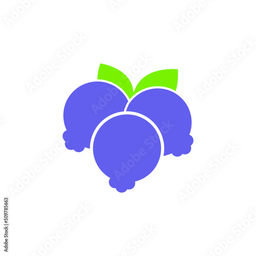 Blueberry vector icon set. Fruit illustration sign collection. vitamins symbol. veganism logo.