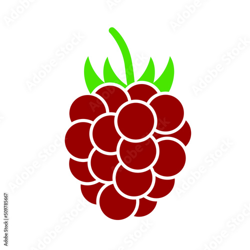 Raspberry vector icon set. Fruit illustration sign collection. vitamins symbol. veganism logo.